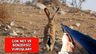 EN GÜZEL TAVŞAN VE KEKLİK AVLARI (2023-2024 SEZONU FULL)  HARE HUNTİNG ОХОТА НА КРОЛИКА صيد الأرانب