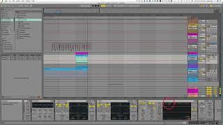 Ableton 11   How to sidechain