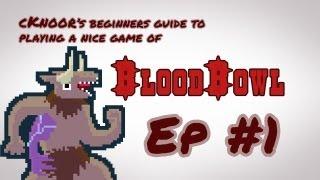cKnoor's beginners guide to Blood Bowl - Episode 1 - A bunch of rules