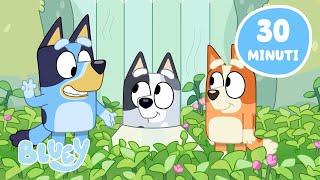 Primavera con Bluey  | Bluey Italiano Canale Ufficiale