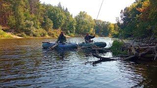 В ЦИХ КОРЧАХ РИБА ВИКРУЧУЄ РУКИ.Рибалка на боковий кивок