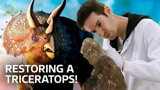 Restoring Ancient Dinosaur Fossils | Our History