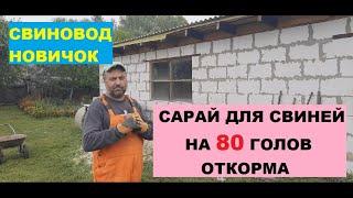 Сарай для свиней на 80 голов откорма. Станки для откорма. Свиноводство.