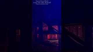 Disney Piano Music Collection at Rainy Forest for Super Deep Sleep  #disneymusic  #knopianomusic