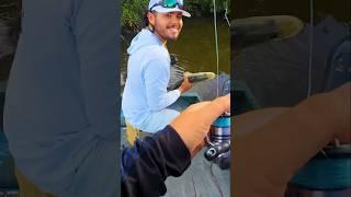 Grabbing SNOOK by HAND #fishing #snook
