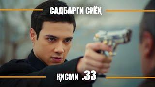 САДБАРГИ СИЁХ | КИСМИ 33