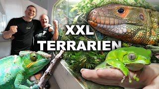 Extreme TERRARIEN-TIERE und was sie brauchen.. 