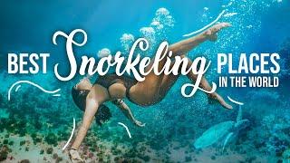 Best Snorkeling Places in the World For Everyone in every level