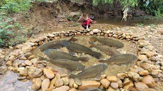 The boy arranged stones into a trap and caught many big fish in the trap. | wandering boy