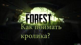 The Forest:Как поймать и размножать кроликов
