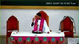Fr Antony VC: We are created for eternity, Animals don't have souls