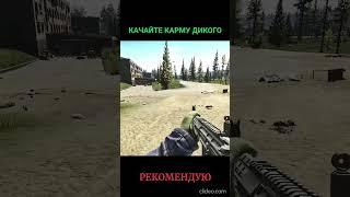 Карма дикого EFT