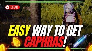 Sapping Maple Trees For Caphras in Black Desert Online