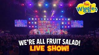 The Wiggles (Live in Concert)   We're All Fruit Salad Tour  Kids Music Concert