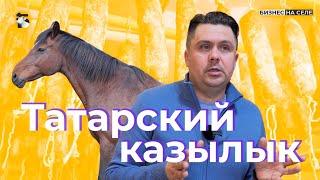 Как зарабатывать на конской колбасе? Аутентичный казылык из Татарстана