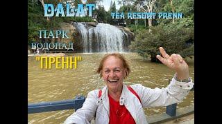 ДАЛАТ. Парк "Tea resort Prenn". Парк и водопад Пренн