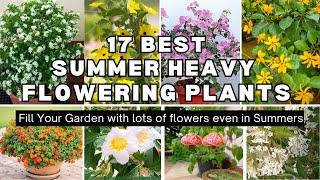 TOP 17 SUMMER HEAVY FLOWERING PLANTS | TOP SUMMER'S HEAVY FLOWERING PLANTS WITH CARE TIPS ️