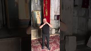 Ter vogormya