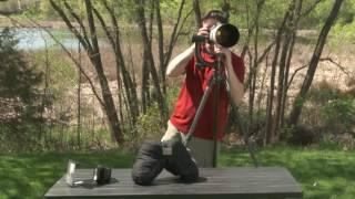 Must-Have Wildlife Photography Gear