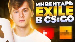 Инвентарь EXILE в CS:GO