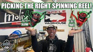 Picking The RIGHT Spinning Reel!!! (Gear Ratio Explained!)