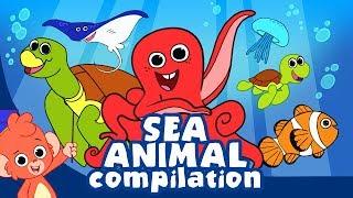 Learn Sea Animals for Kids | Ocean animal cartoon compilation | Club Baboo