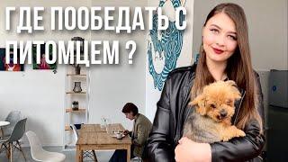 ИДЕМ В КАФЕ С СОБАКОЙ ||  Что такое Dog-friendly? Куда пустят с собакой? Где пообедать с питомцем?