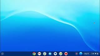 chrome os flex how to enable file in google drive to be offline how to