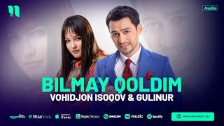 Vohidjon Isoqov & Gulinur - Bilmay qoldim (audio 2023)