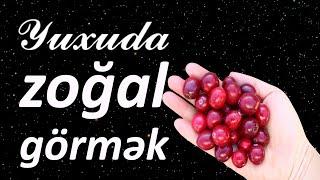 Yuxuda zoğal görmək  Qısa #yuxuyozma - SƏSLİ YUXU YOZMALARI