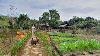 Full Video: 125 Days of Farm Life, Gardening, Farming, Harvesting, Cooking, Animal Care | Sơn Thôn