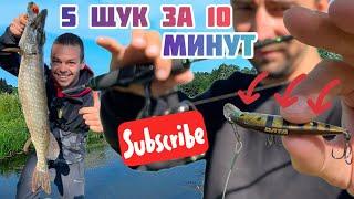 Нашли ЛУЖУ с кучей ЩУКИ! Сумасшедшая раздача рыбы