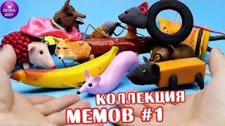 Коллекция - всех МЕМОВ #1 | Мышка Сосиска, Крыска Ириска, Кошка Картошка, Лепка шоу