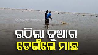 Fishermen Continue Catching Fish in Flooded Waters to Feed Families Ahead of Cyclone Dana