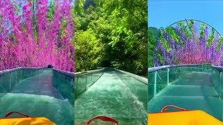 Glass water slide allows tourists to float down under flower ceiling