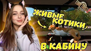 ЖИВЫЕ КОТИКИ В САЛОНЕ ТЯГАЧА: EURO TRUCK SIMULATOR 2 [ETS 2]