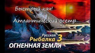 Быстрый кач РР3. Прокачка разряда с 22 по 33(45).