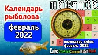 Прогноз клева рыбы на Февраль 2022 Лунный календарь рыбака на Февраль