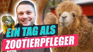 Tierpfleger im Zoo - Artenschutz, Kritik und Tierliebe? | Was machst Du so?