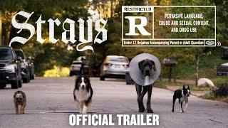 Strays | Official Trailer [HD]