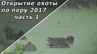 Открытие охоты на уток 2017. Часть 1. "Моя ОХОТА"