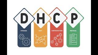 DHCP Basics