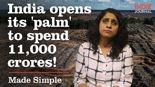 India's new 'Domestic Palm Oil' incentivisation policy | Made Simple | Indie Journal