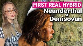 Denny | Denisovan Neanderthal Hybrid