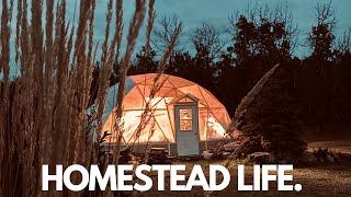 Installing Lights in our Geodesic Dome! | Garden Harvest on our Zone 3 Homestead