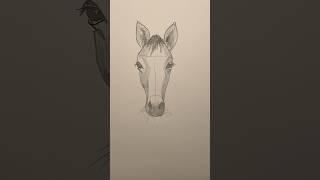 Draw a horse  Easy drawing lesson for beginners on how to draw a horse #drawinglesson #howtodraw