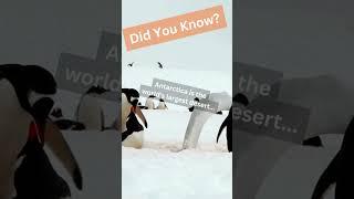 Antarctica  #creazyland #tipsfortravelers #travel #traveladvice
