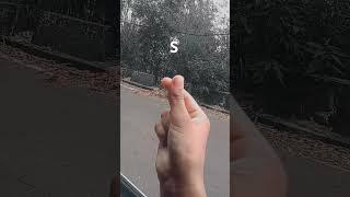 ples##sport