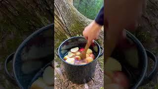 homemade  cider