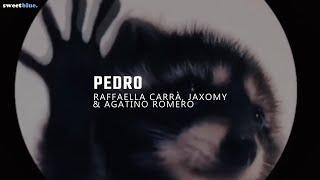 la canción de pedro | PEDRO - Raffaella Carrà, Jaxomy, Agatino Romero (Remix TikTok / Sub. Español)